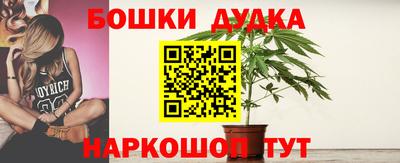 гидропоника Лесосибирск