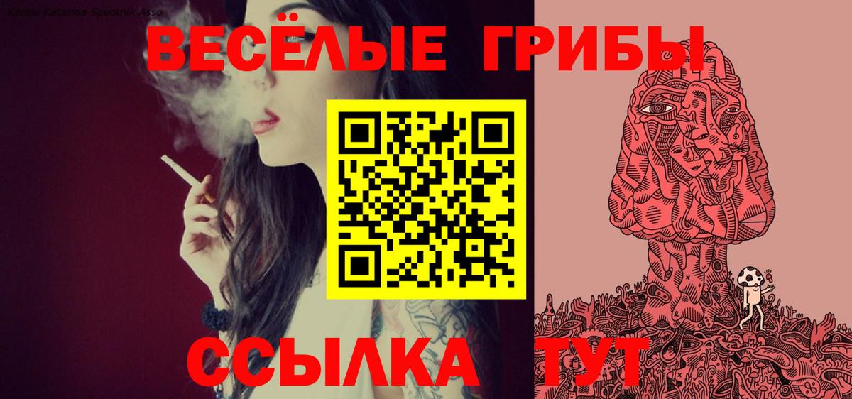 Галлюциногенные грибы прущие грибы Иваново