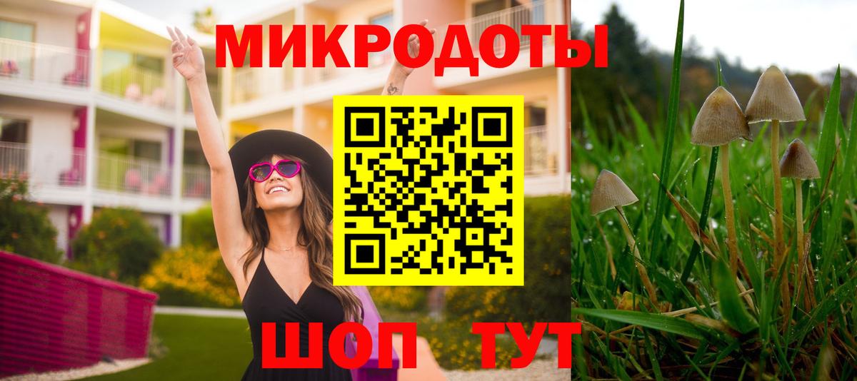 Галлюциногенные грибы Magic Shrooms  Галлюциногенные грибы Cubensis  Вход с VPN  Иваново 