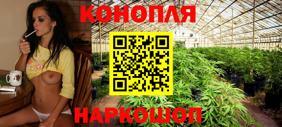 Иваново  Шишки марихуана THC 21%  Вход с VPN  Марихуана конопля  Канабис OG Kush 